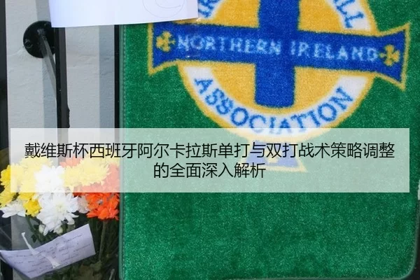 戴维斯杯西班牙阿尔卡拉斯单打与双打战术策略调整的全面深入解析