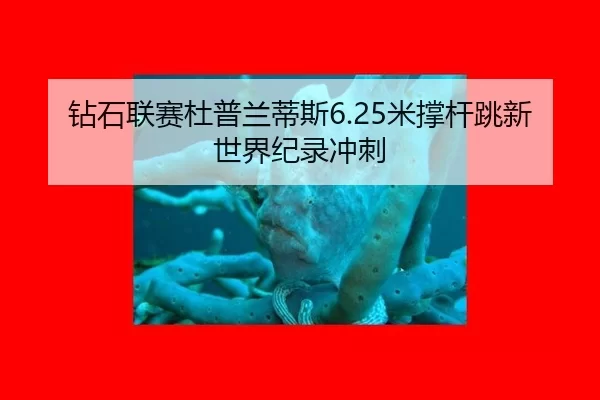 zuan-shi-lian-sai-du-pu-lan-di-si-mi-cheng-gan-tiao-xin-shi-jie-ji-lu-chong-ci-2-888.jpg