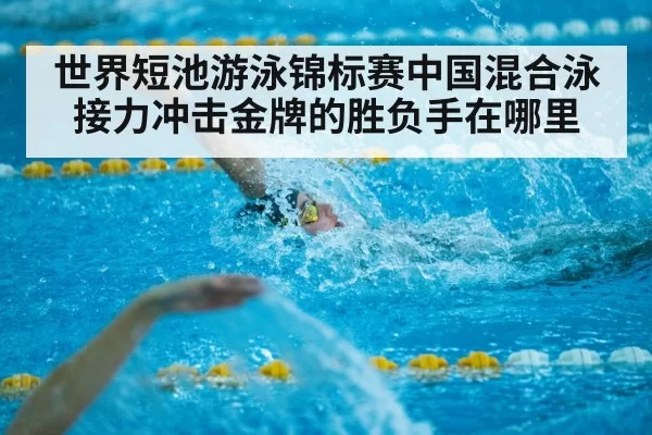 世界短池游泳锦标赛中国混合泳接力冲击金牌的胜负手在哪里